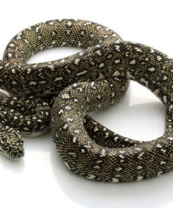 Diamond Python kaufen